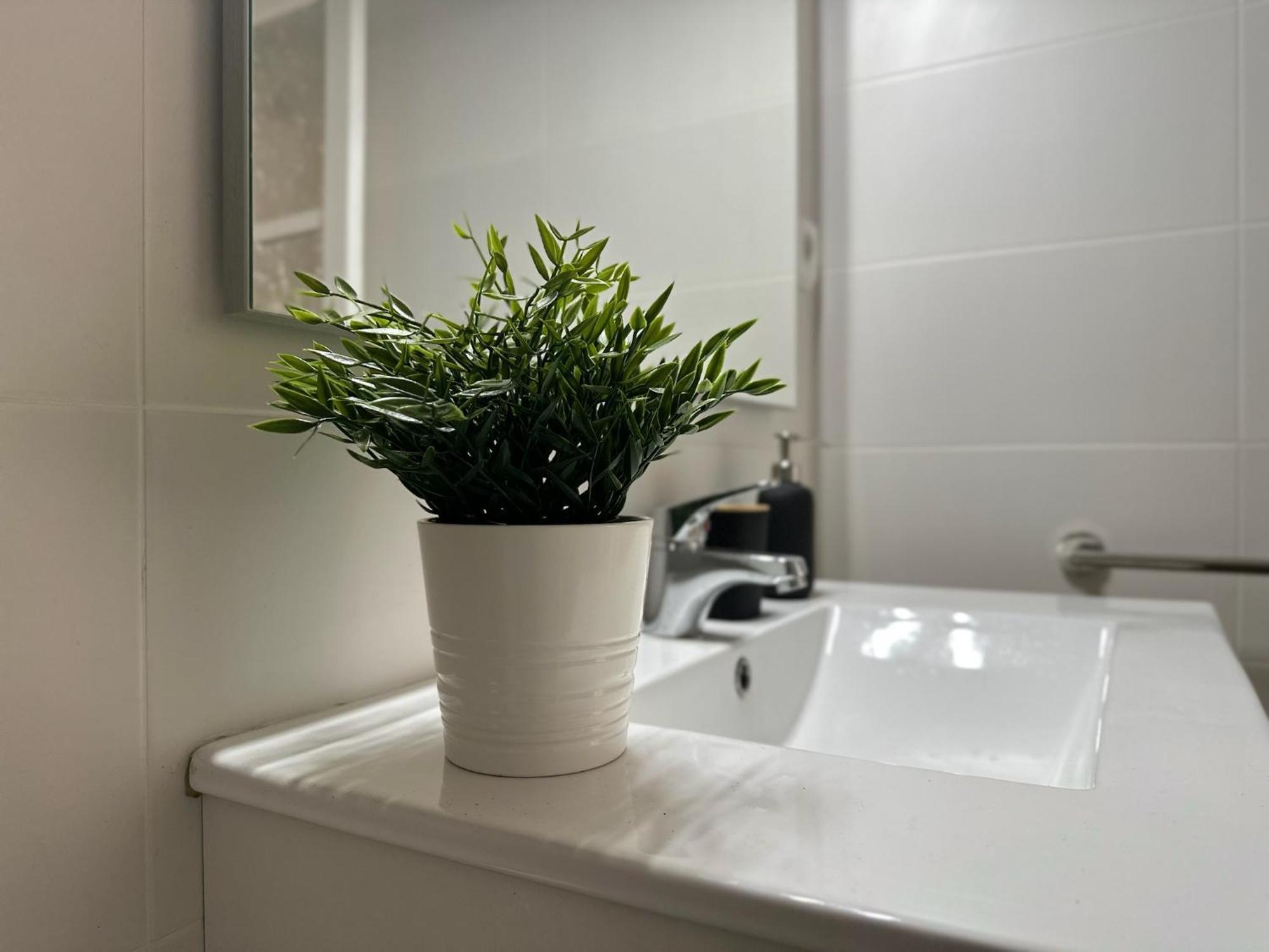 Apartamentos Vernia ออนตินเยนต์ ภายนอก รูปภาพ